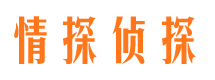 太子河侦探公司